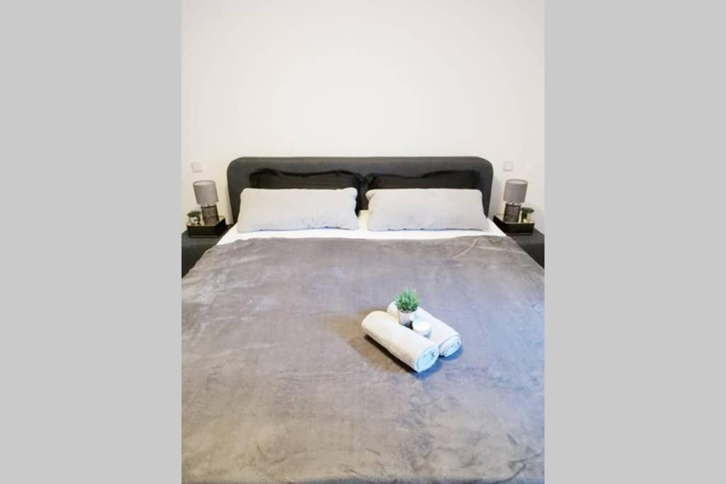 Ferienwohnung Rhode Rielasingen-Worblingen Exteriér fotografie